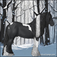 Horse Color:Black Tobiano