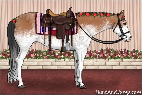 Horse Color:White Spotted Bay 