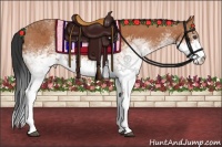 Horse Color:White Spotted Bay 