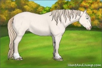 Horse Color:Perlino Dun Sabino 