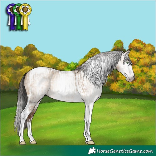 Horse Color:Gray Amber Champagne Dun Tobiano and Gray Sable Champagne Dun Tobiano Varnish