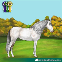 Horse Color:Gray Amber Champagne Dun Tobiano  and Gray Sable Champagne Dun Tobiano Varnish 