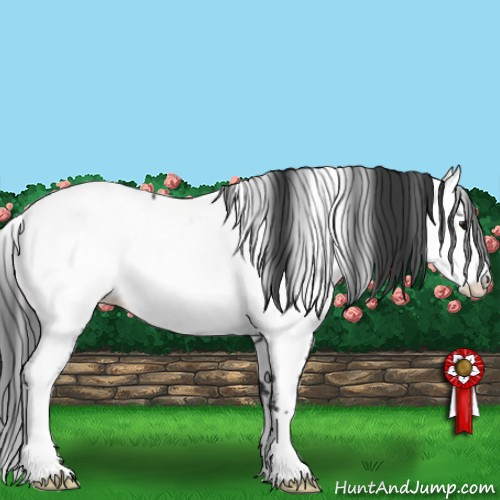 Horse Color:Black Fewspot 