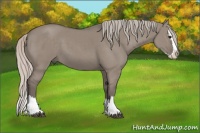 Horse Color:Silver Grullo Sabino Splash 