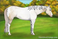 Horse Color:Silver Brown Dun Sabino Tobiano Rabicano