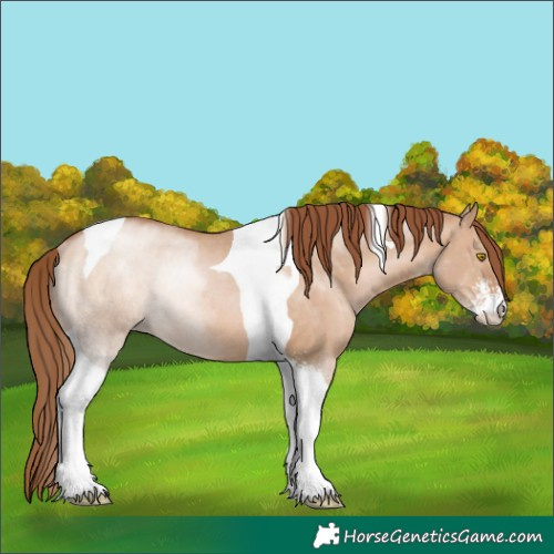 Horse Color:Brown Pearl Dun Sabino Tobiano Rabicano 