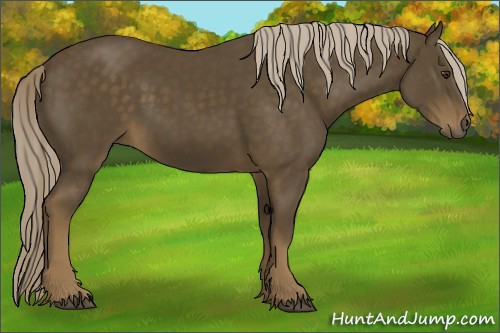 Horse Color:Chocolate Palomino