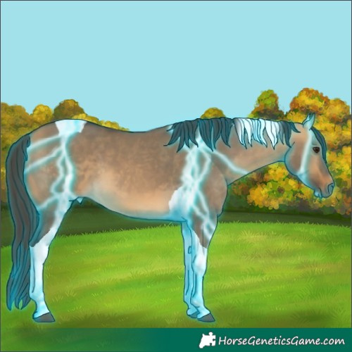 Horse Color:Thunderstruck Buckskin Dun Tobiano 