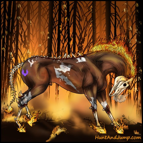 Horse Color:Bay Tobiano 