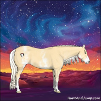 Horse Color:White Spotted Gold Cream Champagne 
