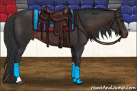 Horse Color:Brown Tobiano 