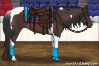 Horse Color:Brown Tobiano 