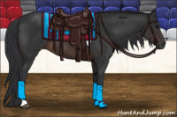 Horse Color:Brown Tobiano 