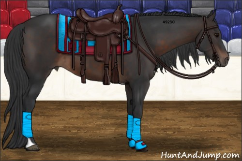 Horse Color:Brown Tobiano 