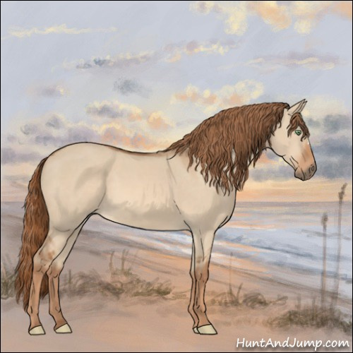 Horse Color:Red Dun 