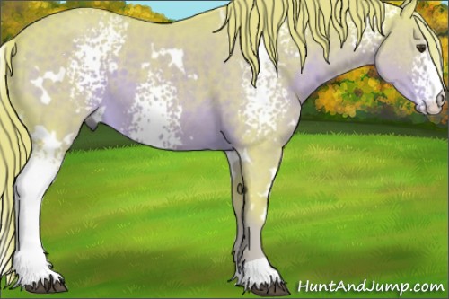 Horse Color:Watercolor White Spotted Liver Chestnut 