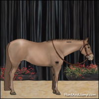 Horse Color:Black Pearl Rabicano 