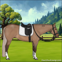 Horse Color:Silver Brown Dun Tobiano 