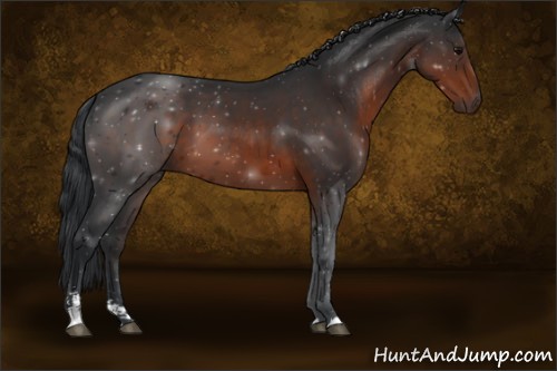 Horse Color:Brown Sabino 