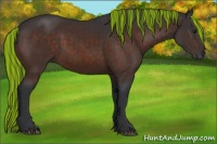 Horse Color:Painted Brown 