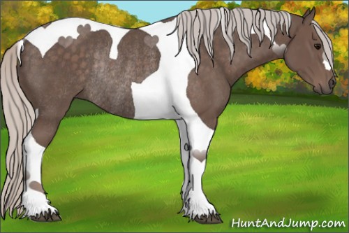 Horse Color:Silver Black Tobiano Rabicano 