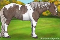 Horse Color:Silver Black Tobiano Rabicano 