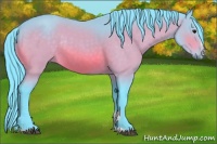 Horse Color:Watercolor Bay Sabino Rabicano 