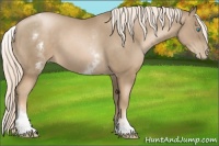 Horse Color:White Spotted Chocolate Palomino Pearl 