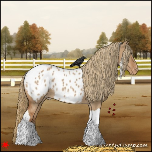 Horse Color:Red Dun Tobiano Blanket