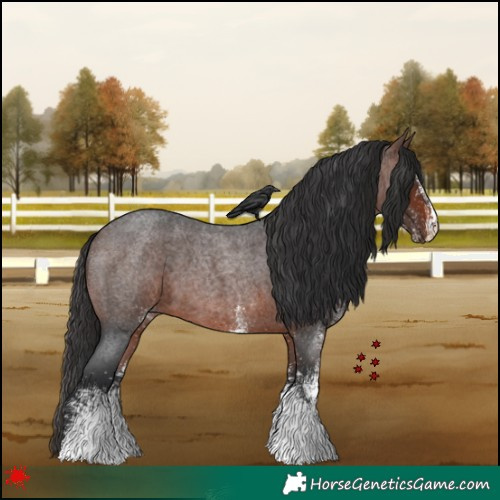 Horse Color:White Spotted Brown Roan 