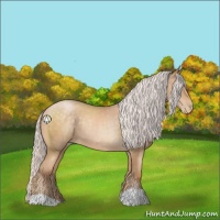 Horse Color:Silver Buckskin Pearl 