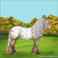 Horse Color:Silver Buckskin Pearl Sabino Appaloosa