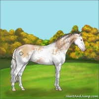 Horse Color:White Spotted Silver Bay Pearl Sabino Splash