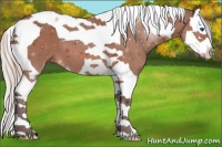 Horse Color:Silver Bay Splash Tobiano 