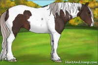 Horse Color:Silver Brown Tobiano 