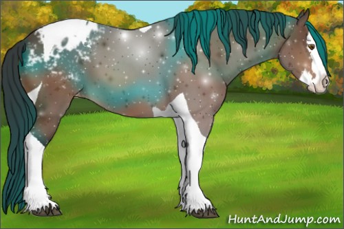 Horse Color:Bay Splash Tobiano Appaloosa 