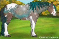 Horse Color:Bay Splash Tobiano Appaloosa 
