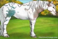Horse Color:Silver Bay Splash Tobiano 