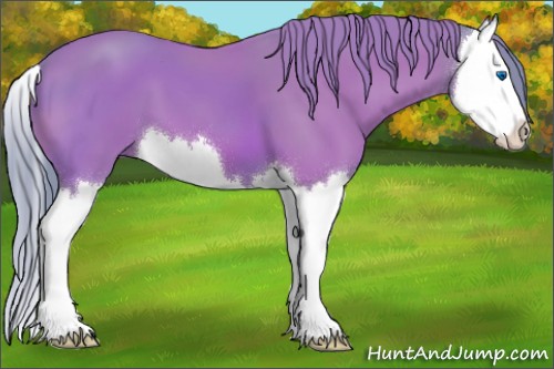 Horse Color:Watercolor Bay Splash
