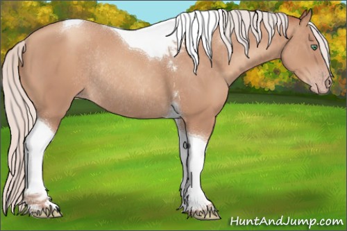 Horse Color:Silver Classic Champagne Tobiano Rabicano
