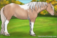 Horse Color:Silver Classic Champagne Tobiano Rabicano 