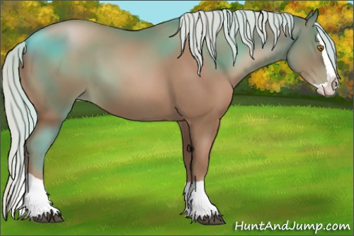 Horse Color:Silver Black Pearl Splash