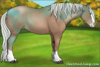 Horse Color:Silver Black Pearl Splash 