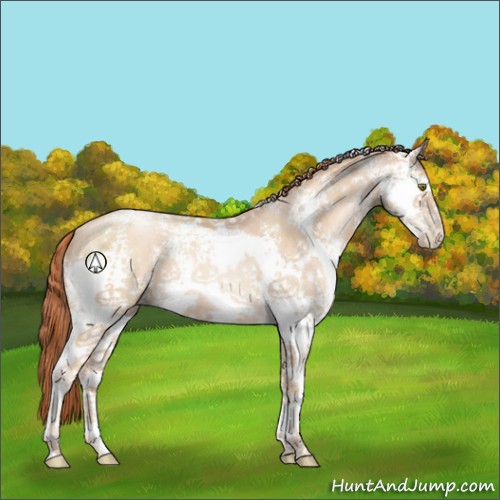 Horse Color:White Spotted Classic Champagne Pearl 