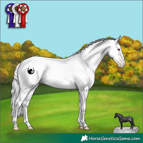 Horse Color:White Spotted Classic Champagne Chinchilla Pearl