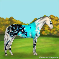 Horse Color:White Spotted Silver Smoky Black Pearl Sabino Appaloosa 