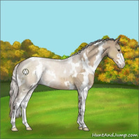 Horse Color:White Spotted Silver Brown Dun Sabino