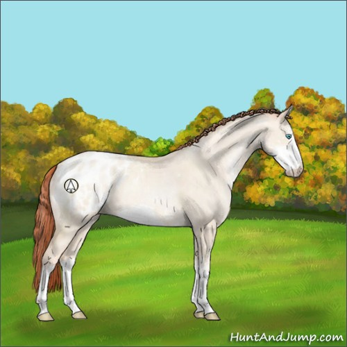 Horse Color:Sable Cream Champagne Pearl Dun Sabino Appaloosa 