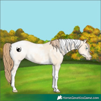 Horse Color:Buckskin Pearl Dun Sabino Tobiano