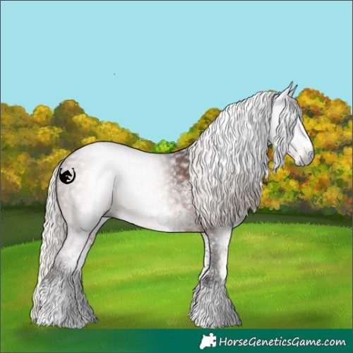 Horse Color:Gray White Spotted Silver Brown 